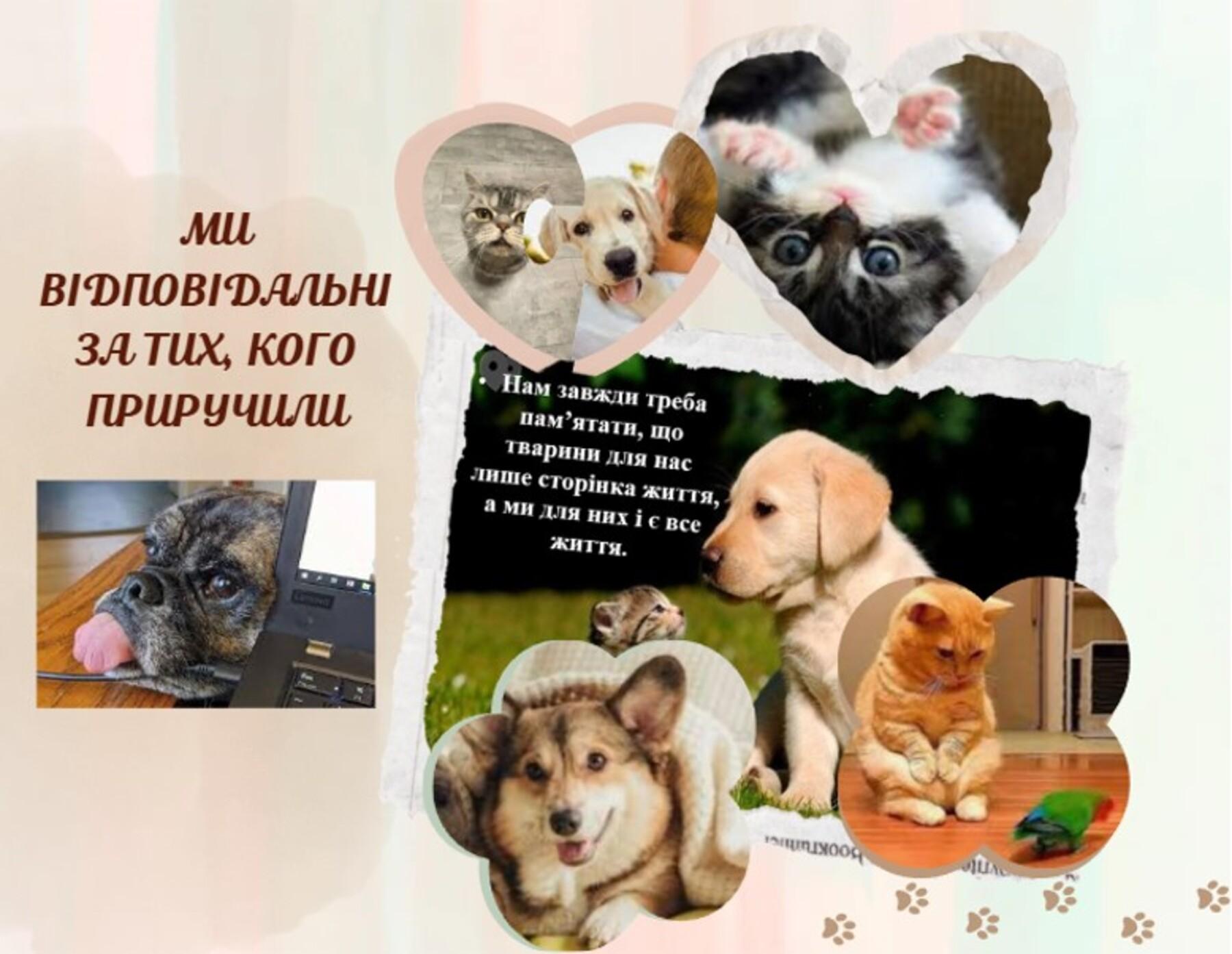 Новини